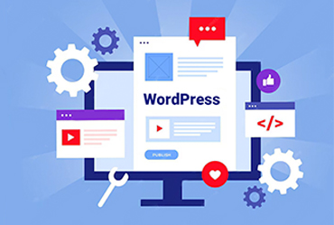 Become a WordPress developer